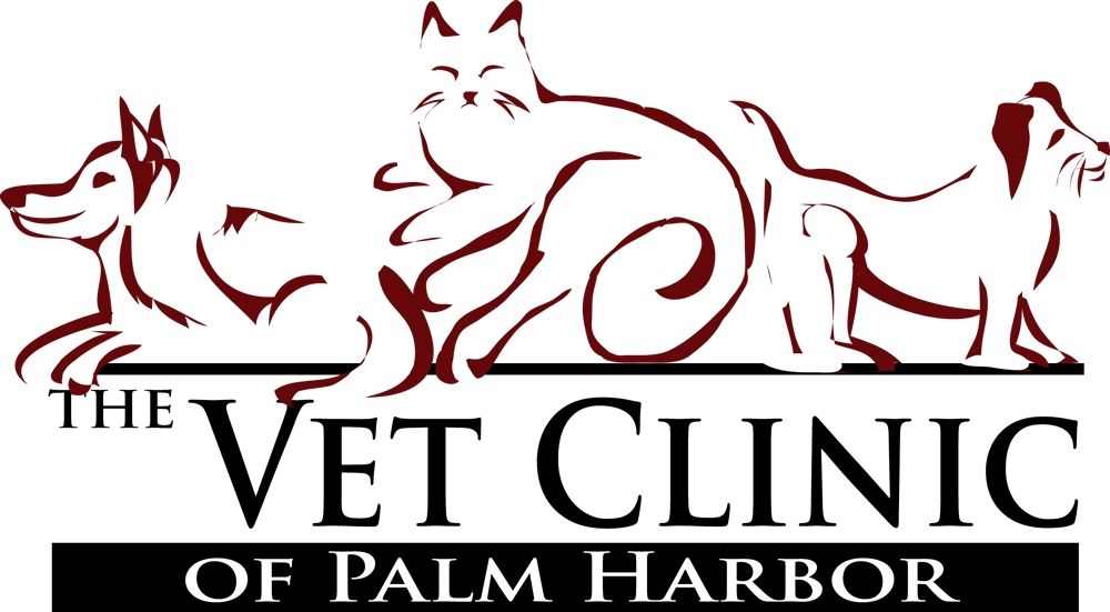 The Vet Clinic of Palm Harbor - Veterinarian in Palm Harbor, FL, USA